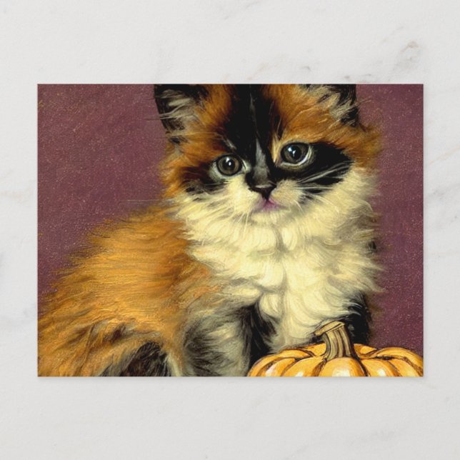 Vintage Ragdoll Halloween Katt Helg Vykort (Framsida)