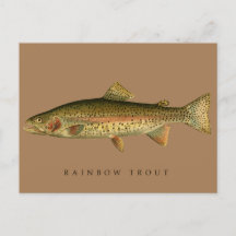Vintage Rainbow Trout