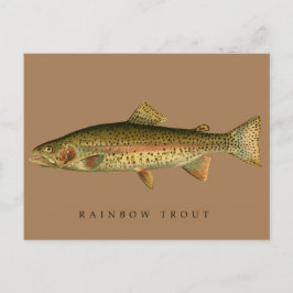 Vintage Rainbow Trout Vykort