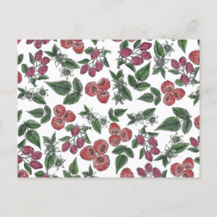 Vintage Raspberry Lövs Illustration Mönster Vykort