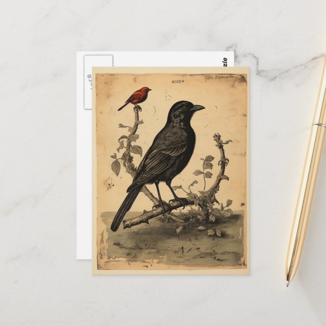 Vintage Raven & Red Bird Vykort (Fram/Back In Situ)