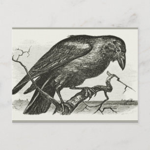 Vintage Raven Woodcut Vykort