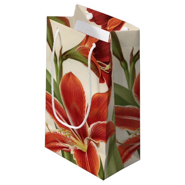 Vintage Red Amaryllis Flower jul Gift Bag (Framsidan Vinklad)