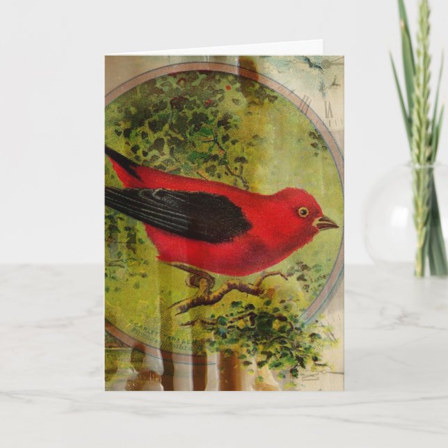 Vintage Red Bird Kort (Framsida)
