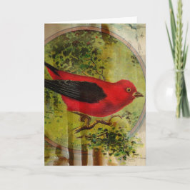 Vintage Red Bird Kort