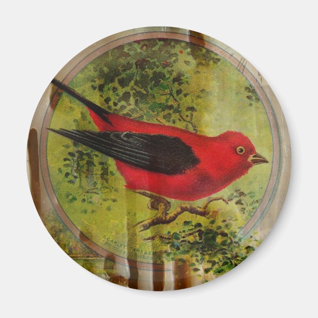 Vintage Red Bird Magnet (Framsidan)
