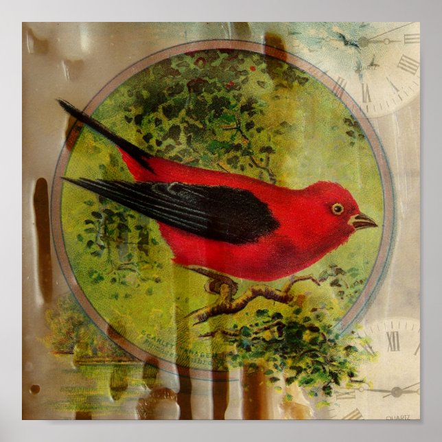Vintage Red Bird Poster (Framsidan)