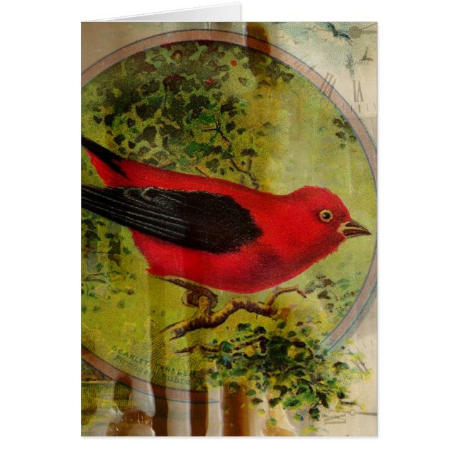 Vintage Red Bird Tillfällen Hälsningskort (Framsidan)
