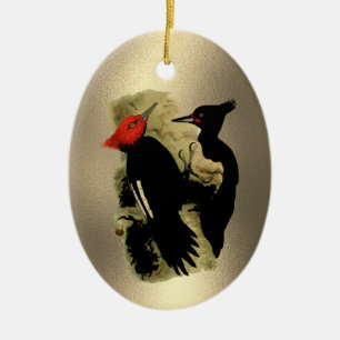 Vintage Red Black Magellanic Woodpeckers jul Julgransprydnad Keramik