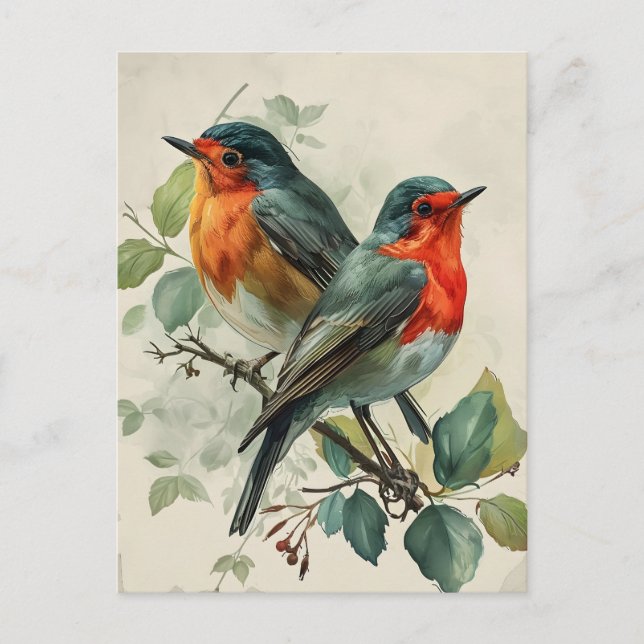 Vintage Red-Brested Robin Postcard Vykort (Framsida)