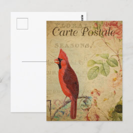 Vintage Red Cardinal Bird Vykort
