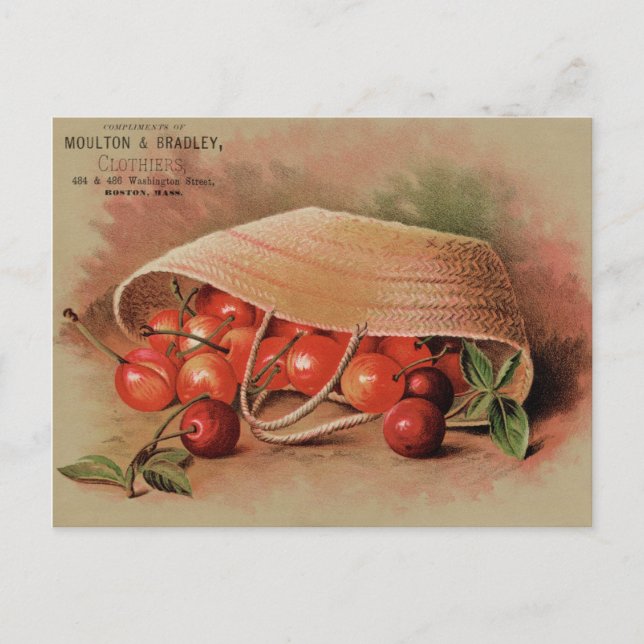 Vintage Red Cherries i Basket Vykort (Framsida)
