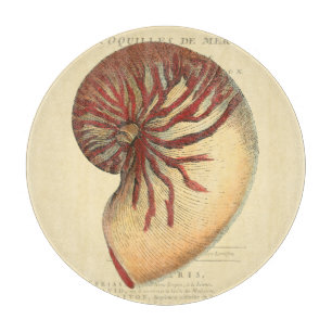 Vintage Red Conch-Snäcka