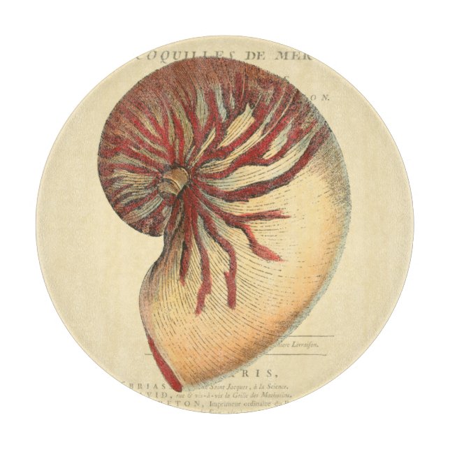 Vintage Red Conch-Snäcka (Framsidan)