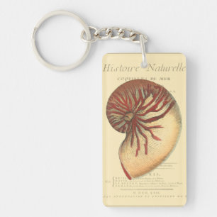 Vintage Red Conch-Snäcka