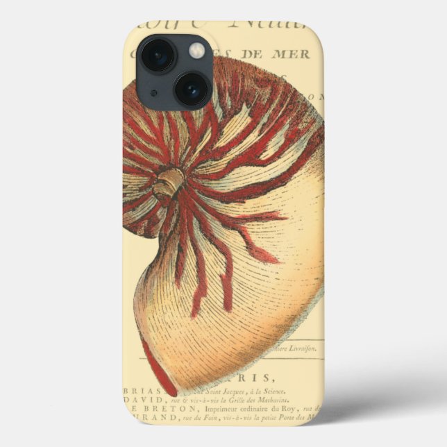 Vintage Red Conch-Snäcka (Baksida)