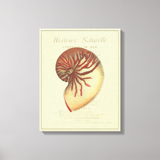 Vintage Red Conch-Snäcka Canvastryck (Framsida)