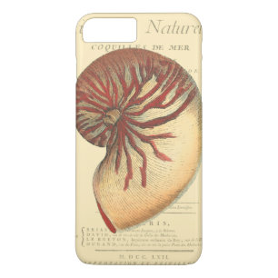 Vintage Red Conch-Snäcka