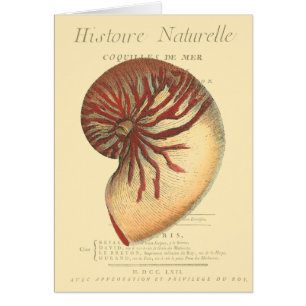 Vintage Red Conch-Snäcka Hälsningskort