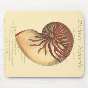 Vintage Red Conch-Snäcka Musmatta