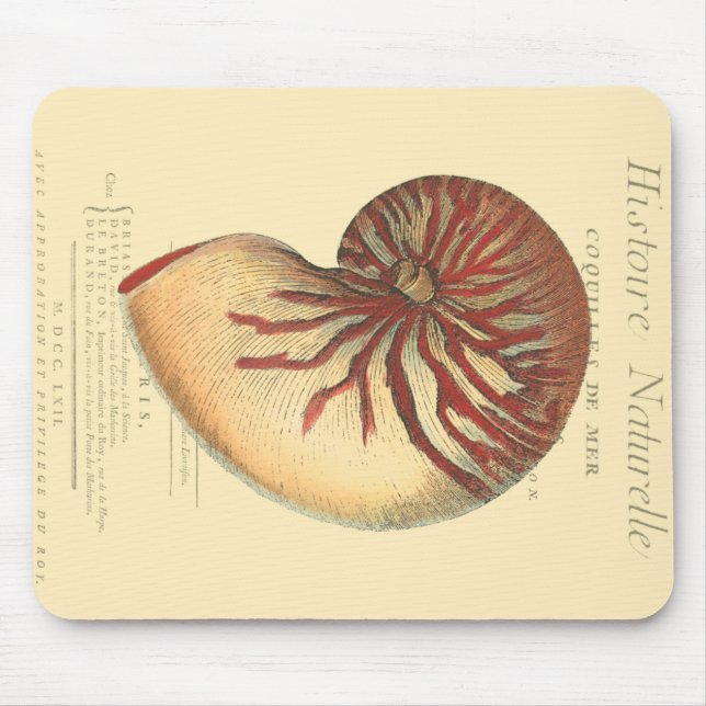 Vintage Red Conch-Snäcka Musmatta (Framsidan)