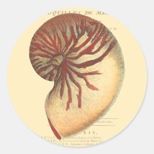 Vintage Red Conch-Snäcka Runt Klistermärke
