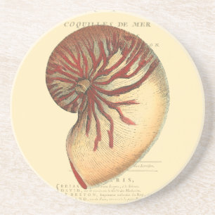 Vintage Red Conch-Snäcka Underlägg Sandsten