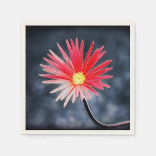 Vintage Red Daisy Flowers Pappersservett