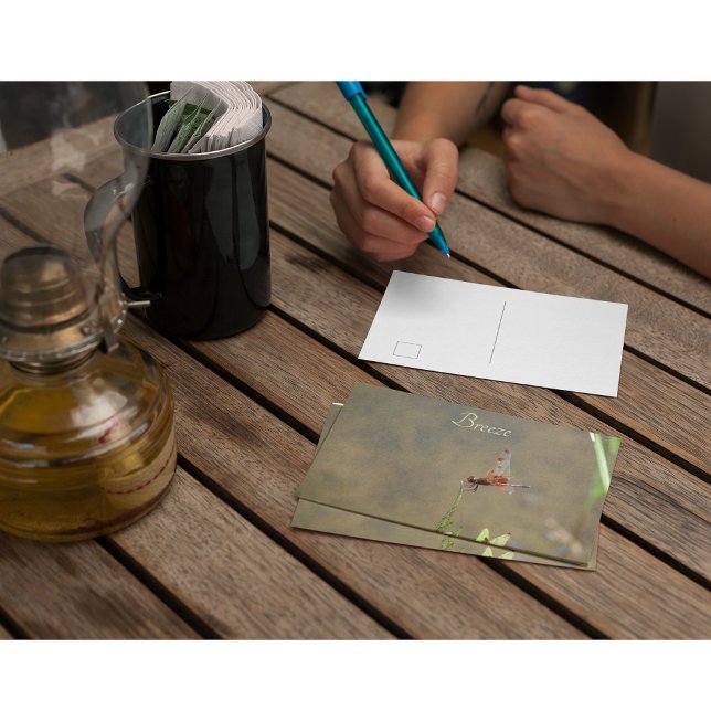 Vintage Red Dragonfly anpassad botanisk anteckning Vykort (Skapare uppladdad)