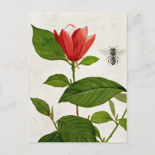 Vintage Red Flower och Bee Vykort