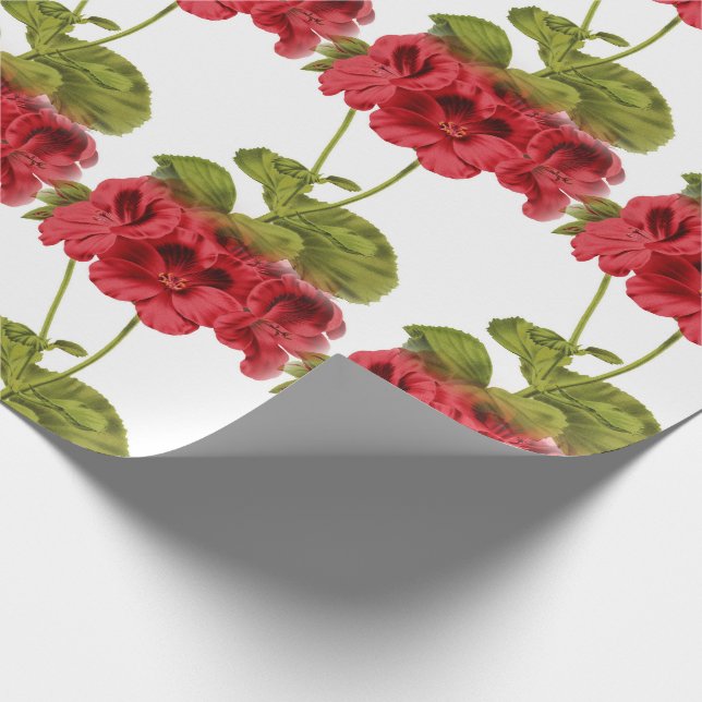 Vintage Red Geraniums Presentpapper (Hörn)