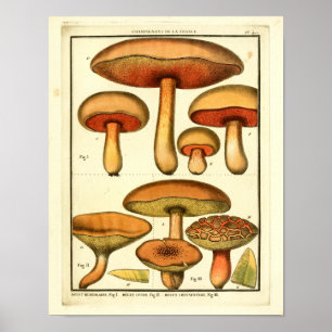Vintage Red Grönt Mushroom Fransk Art Skriv ut Poster