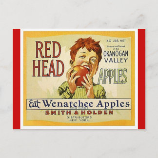 Vintage Red Head Brand Washington Apples Postcard Vykort