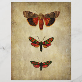 Vintage Red Moths Scrapbook Papper