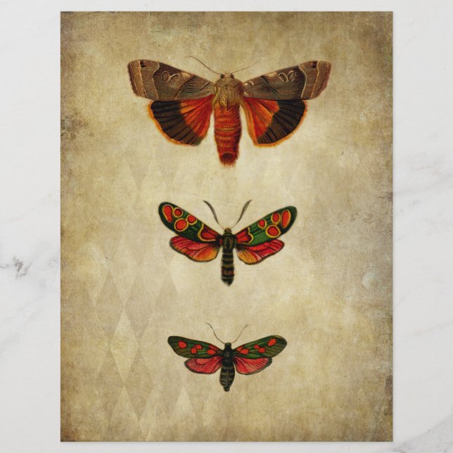 Vintage Red Moths Scrapbook Papper (Framsida)