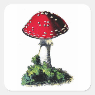 Vintage Red Mushroom Skriv ut Fyrkantigt Klistermärke