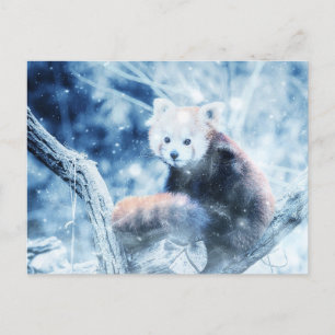 Vintage Red Panda i Snö Helg Vykort