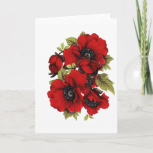 Vintage Red Poppies Kort