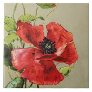 VINTAGE RED POPPY FLOWER KAKELPLATTA