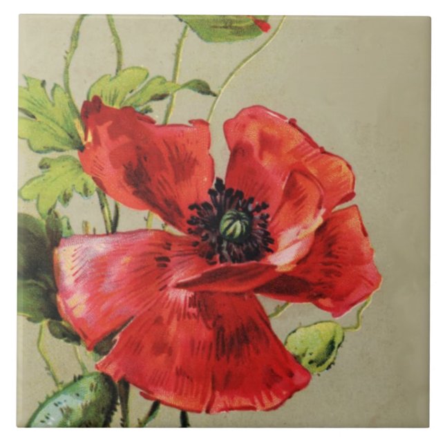 VINTAGE RED POPPY FLOWER KAKELPLATTA (Framsidan)