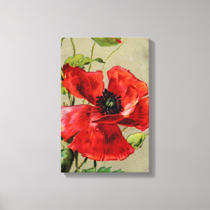 Vintage Red Poppy Stretched Kanvastryck