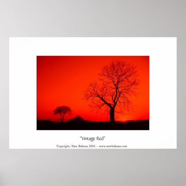 Vintage Red Poster (Framsidan)