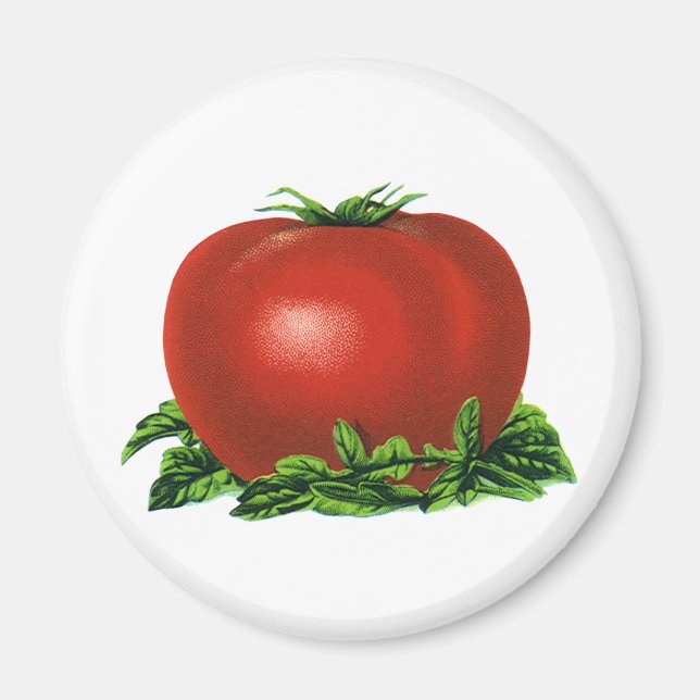 Vintage Red Ripe Tomato, Vegetabilie och Frukt Magnet (Framsidan)