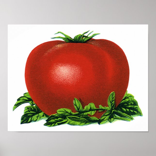 Vintage Red Ripe Tomato, Vegetabilie och Frukt Poster (Framsidan)