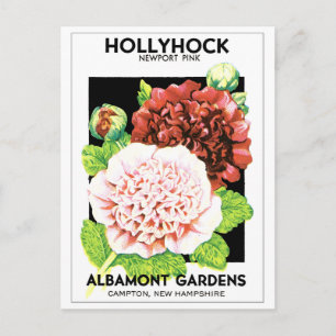 Vintage Red & Rosa Ruffled Hollyhock Seed Packet Vykort