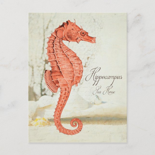 Vintage Red Sea Horse Vykort (Framsida)