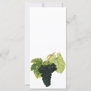 Vintage Red Vin Organic Grape Cluster, Food Fruit