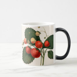 Vintage RedBoston Gräs Strawberry Magisk Mugg