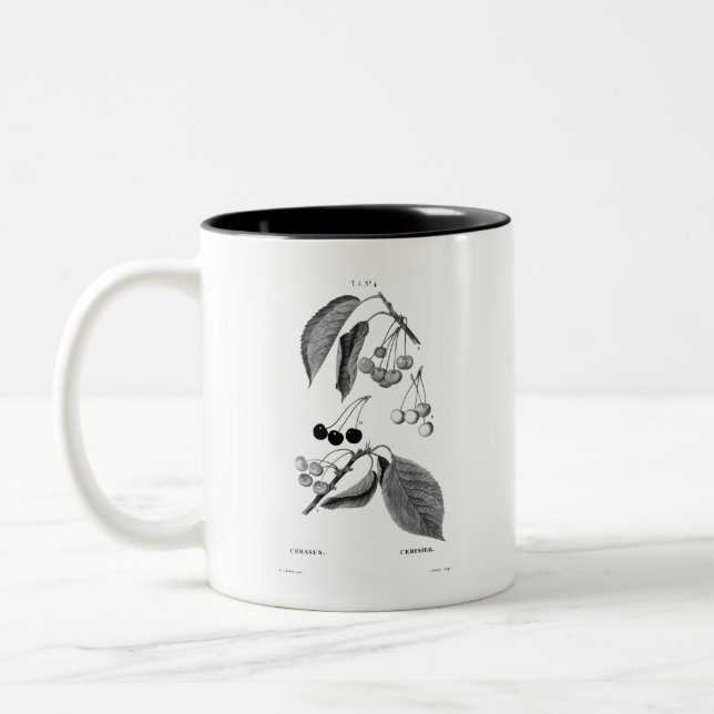 VINTAGE REDOUTÉ ’CHERRIES’ MUGG (Vänster)