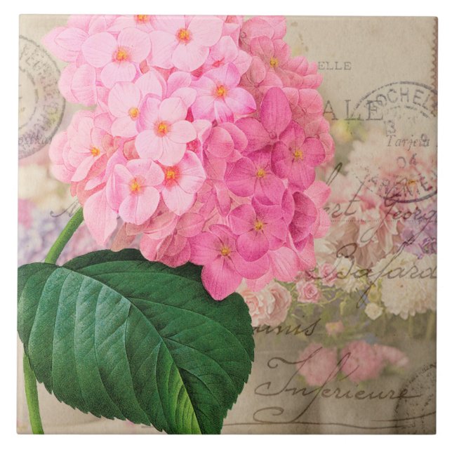 Vintage Redoute Rosa Hydrangea Ceramic Tile Kakelplatta (Framsidan)